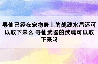 寻仙已经在宠物身上的战魂水晶还可以取下来么 寻仙武器的武魂可以取下来吗